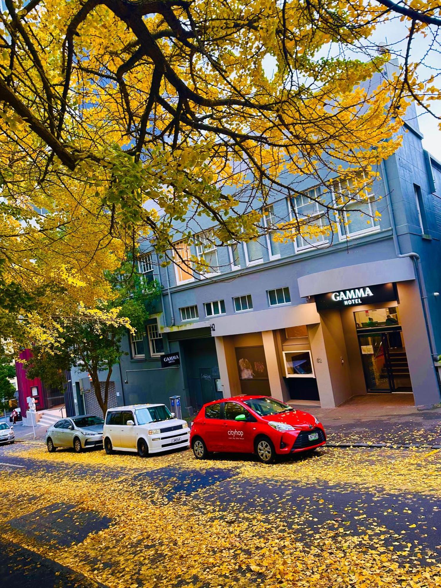 Gamma Hotel Auckland Buitenkant foto